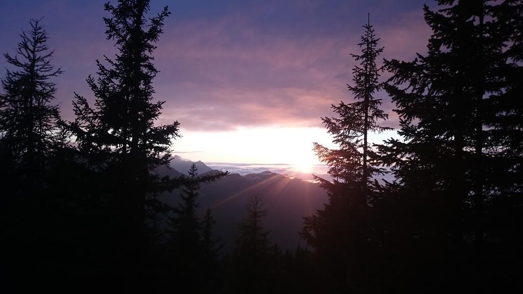 Parchenbauernhof Horner Otel Flachau Dış mekan fotoğraf