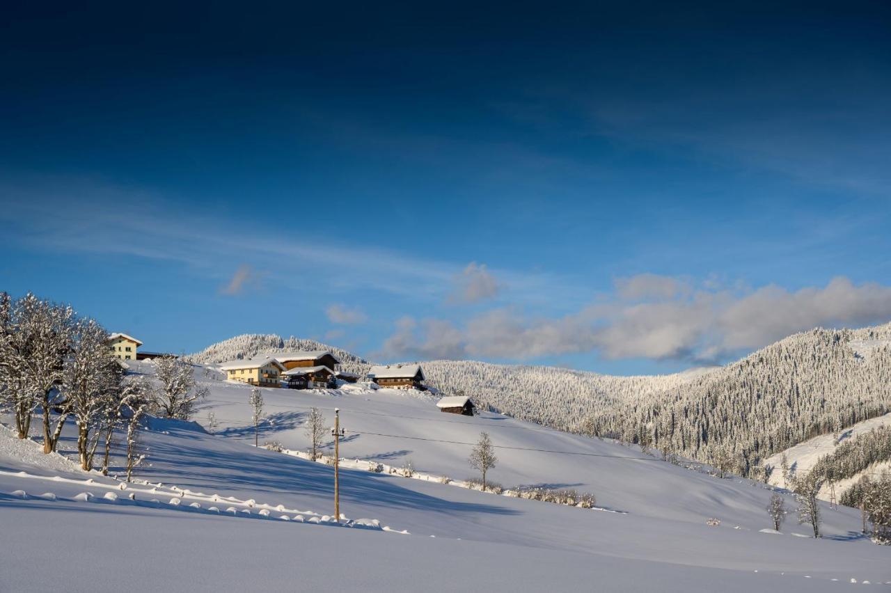 Parchenbauernhof Horner Otel Flachau Dış mekan fotoğraf