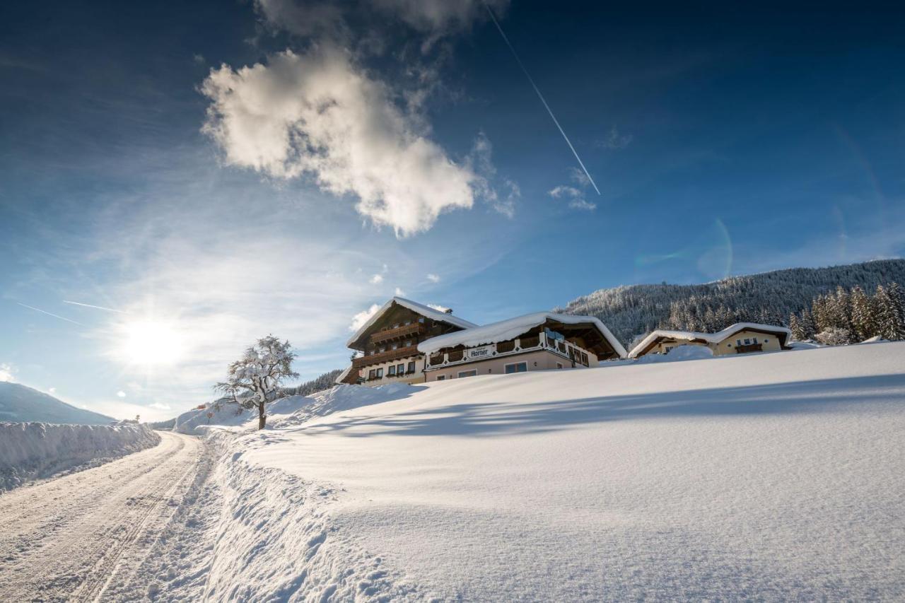 Parchenbauernhof Horner Otel Flachau Dış mekan fotoğraf
