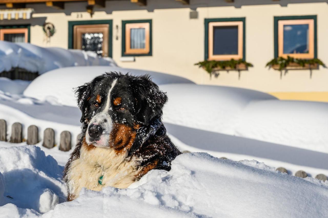 Parchenbauernhof Horner Otel Flachau Dış mekan fotoğraf