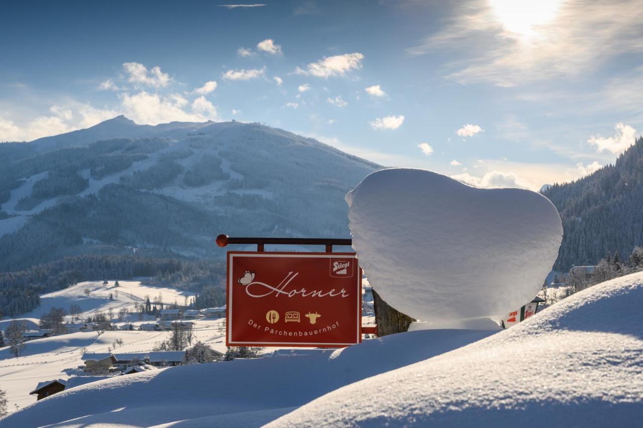 Parchenbauernhof Horner Otel Flachau Dış mekan fotoğraf